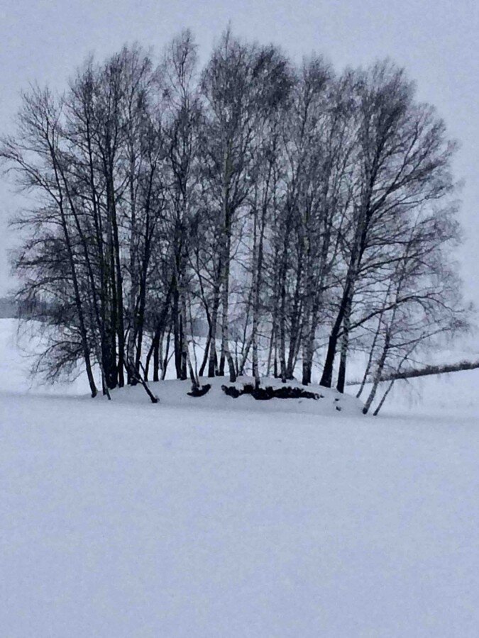 Идти было не удобно. Небольшие сугробики на льду, а под ними вода. Но это ведь не останавливает человека.