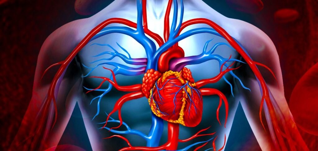 Я знаю, что такие приступы носят психоэмоциональный характер. 