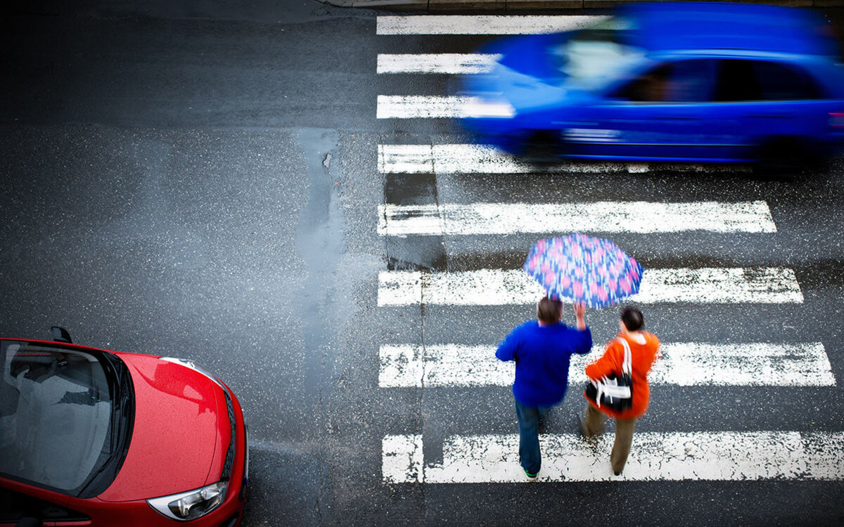 Фото с https://rus.live/wp-content/uploads/2019/10/%D0%B7%D0%B5%D0%B1%D1%80%D0%B0-5.jpg