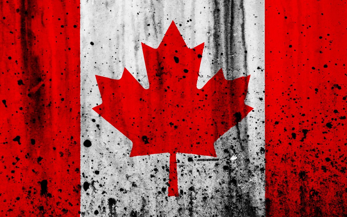 источник:https://besthqwallpapers.com/Uploads/6-11-2017/27412/canadian-flag-4k-grunge-flag-of-canada-north-america.jpg