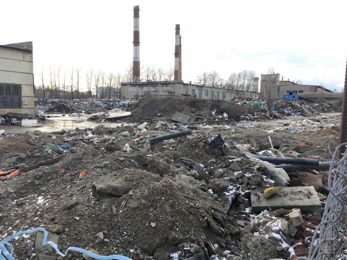 Фото: пресс-служба общественной экологической организации «Зеленый Фронт»