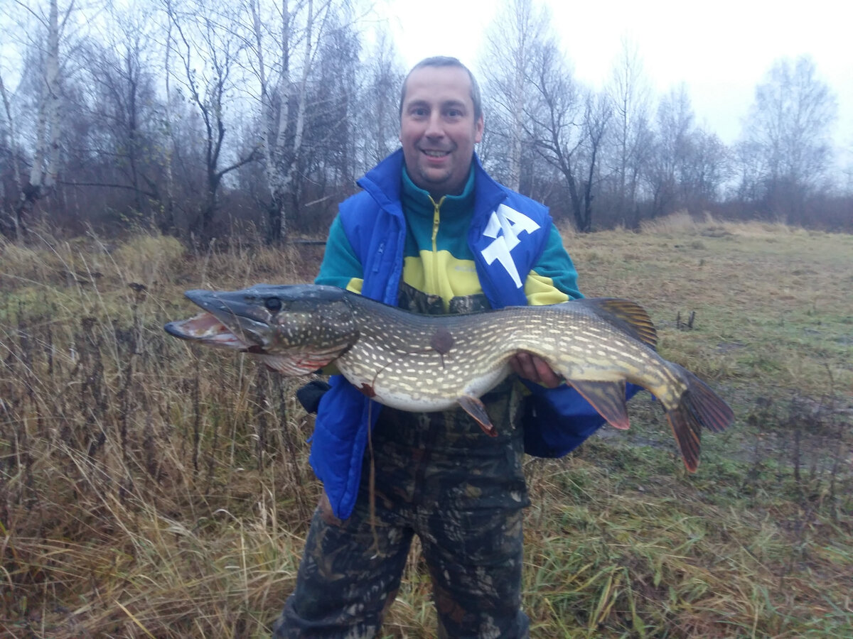 Отличный экземпляр. Фото из личного архива
