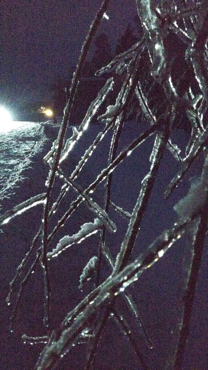 После ледяного дождя