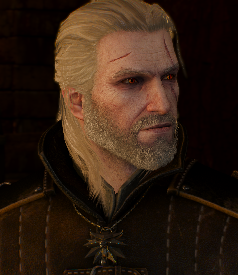 Номер раз. Глядя на такого Геральта, понимаешь, почему простые люди его чурались