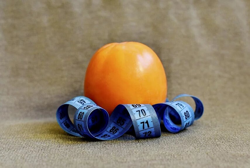 Фото: pixabay.com  