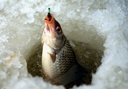 Способов изготовления приманки существует несколько, в числе которых литье и пайка. Второй способ более предпочтителен, поскольку дает возможность придать заводскому грузику разнообразные формы. Модификацию делают в том случае, если мормышка по каким-то причинам не удовлетворяет рыболова.