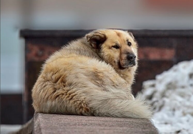 Фото: аккаунт Кефира в социальной сети Instagram* 