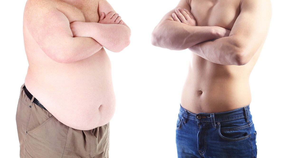 Как бурый жир помогает похудеть