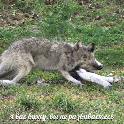 всё так, не развиваемся :(