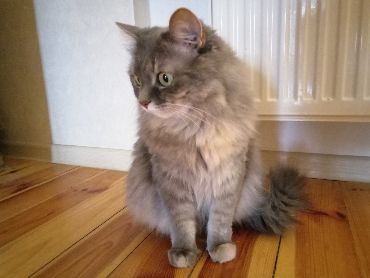 Из комнаты выплывает Маня