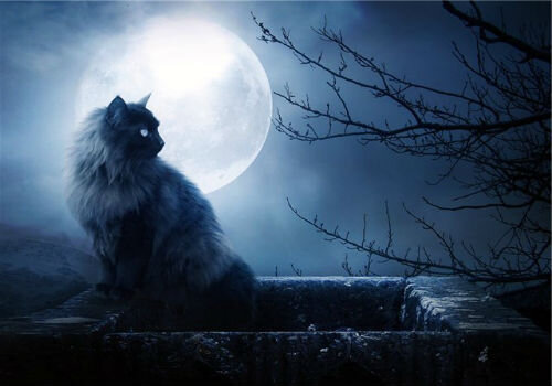 фото: i-sonnik.ru