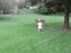 Изображение представлено в рамках свободного цитирования