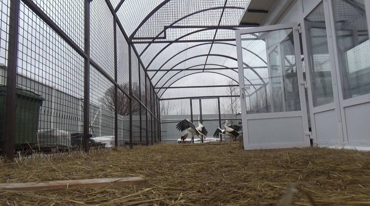 Дом Аиста в Рязани. Фото: Антон Барановский