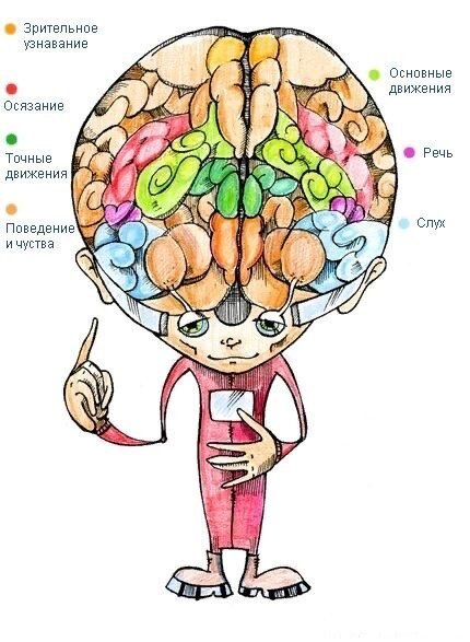 👍...Источник фото: Яндекс