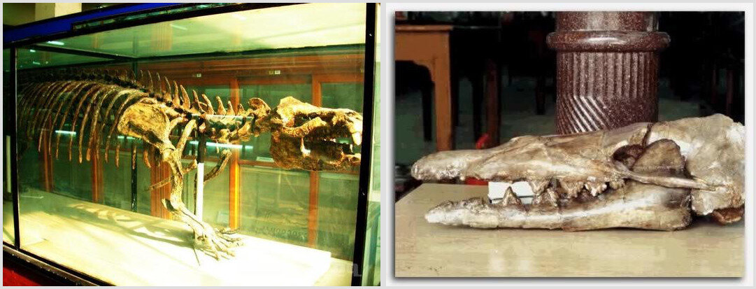 Экспонаты музея