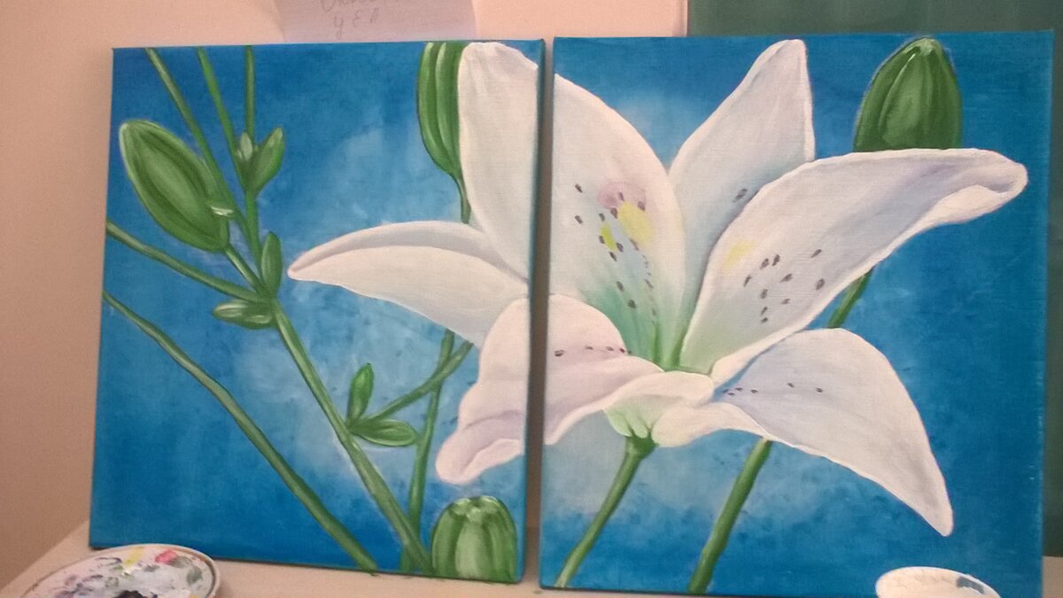 Я не претендую на всеобщую симпатию