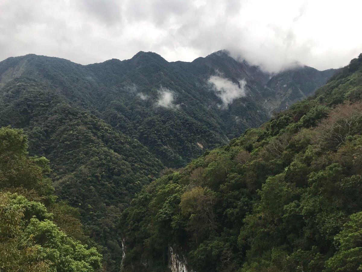 Ущелье Тароко