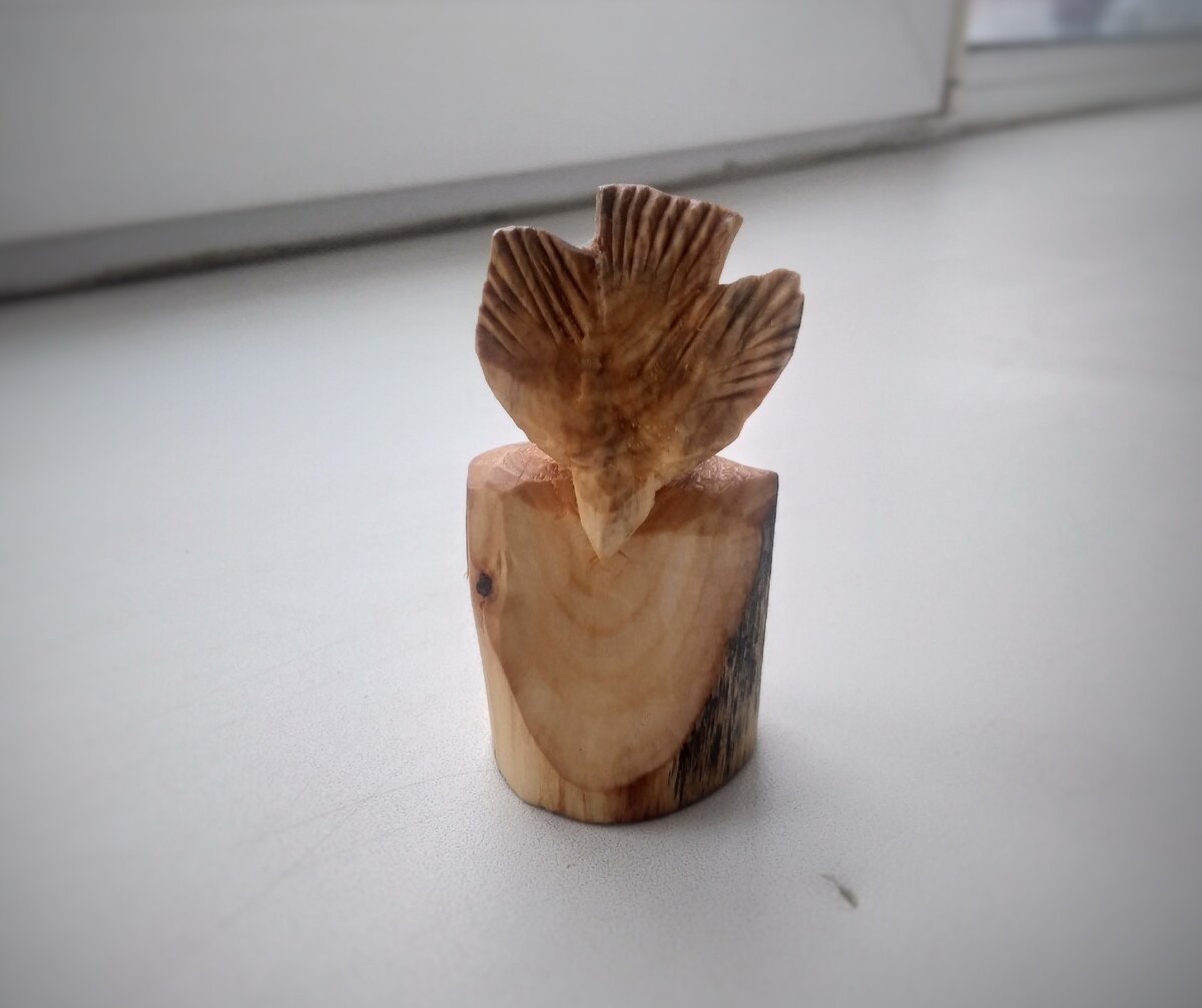 Уж и крылья развела 