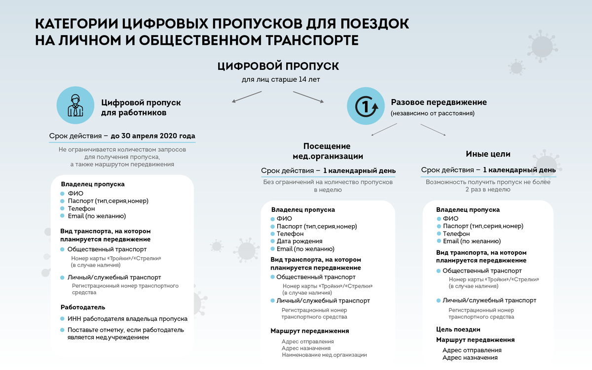 Предъявите пропуск. Пропускная система в Москве | Катя права. | Дзен