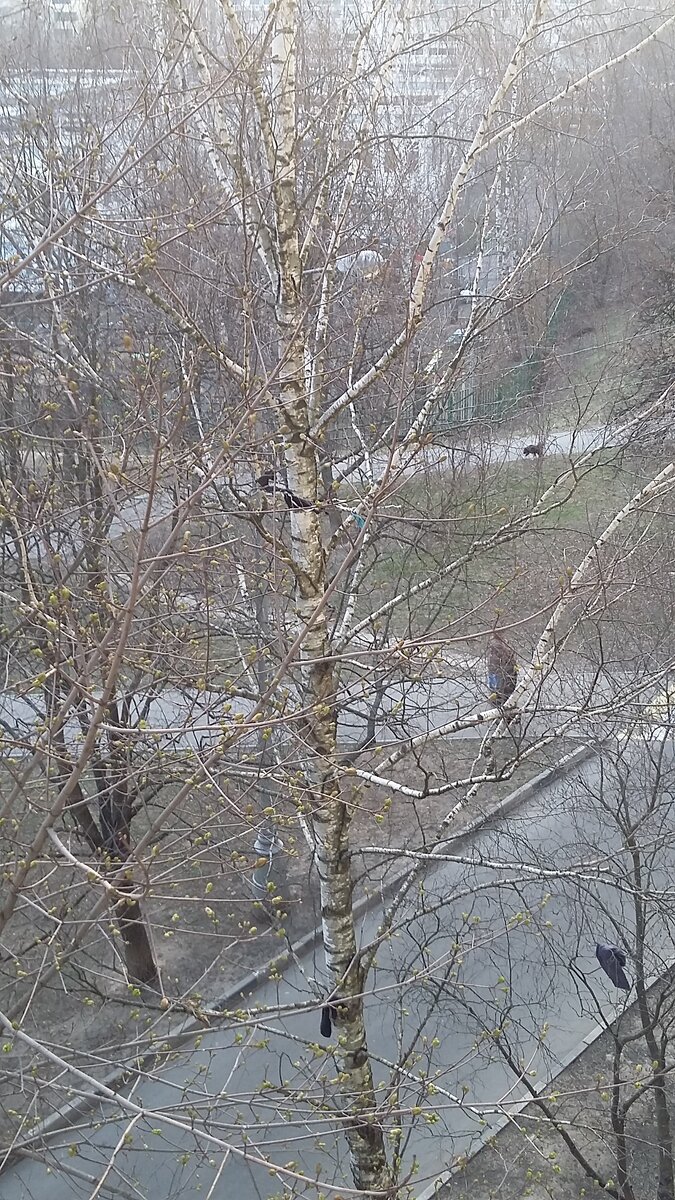 Фото автора.