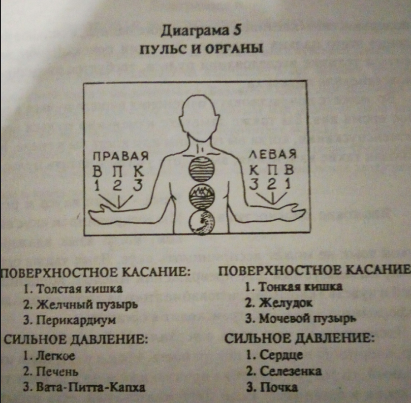 Пульсовая диагностика картинки