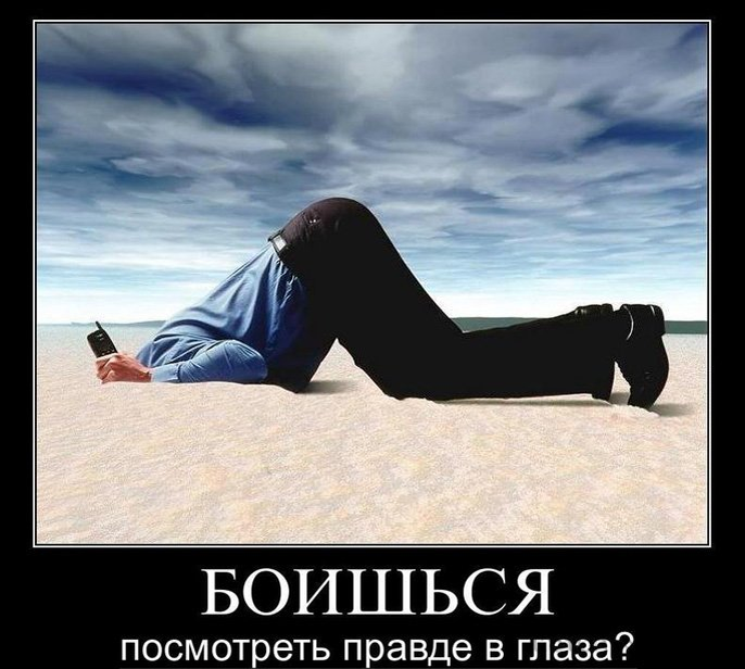 Не боюсь проблем. Я не боюсь трудностей. Цитаты про глупых людей. Не бойтесь трудностей. Как общаться с инвалидами.