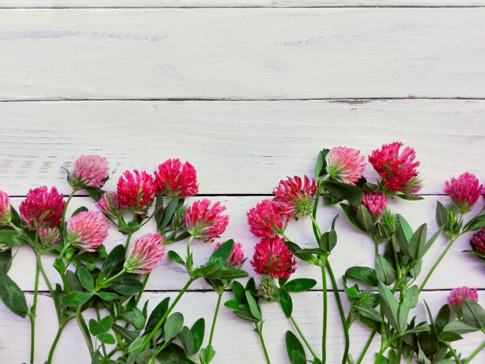 Автор: SakSa, фото приобретено на сайте www.shutterstock.com