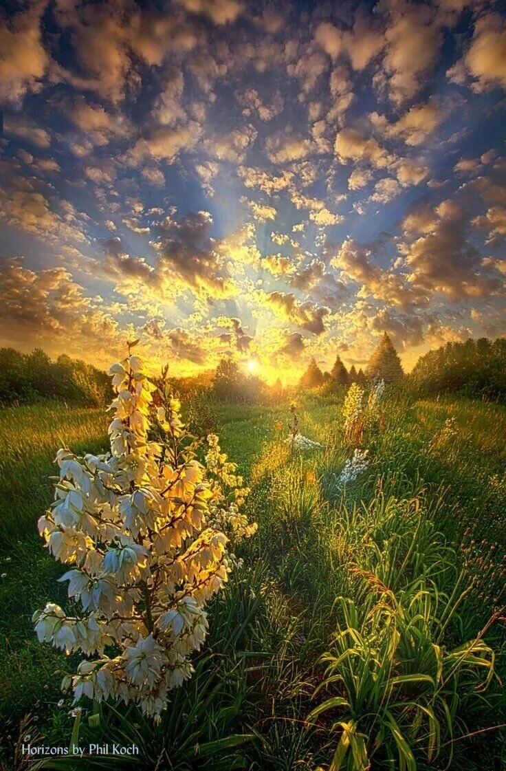 Фото из открытых источников. 