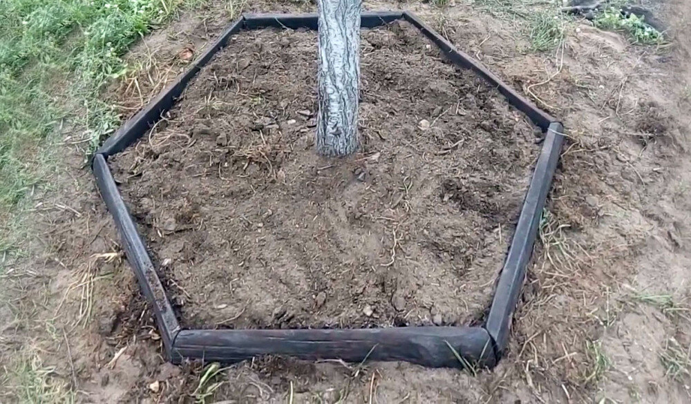 Радиус приствольной грядки не должен превышать 80-90 см, иначе будет неудобно ухаживать за растениями