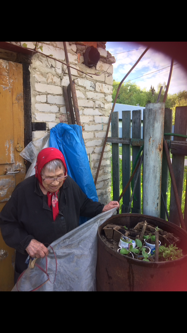 Баба Маша спасает рассаду огурцов от надвигающейся грозы.