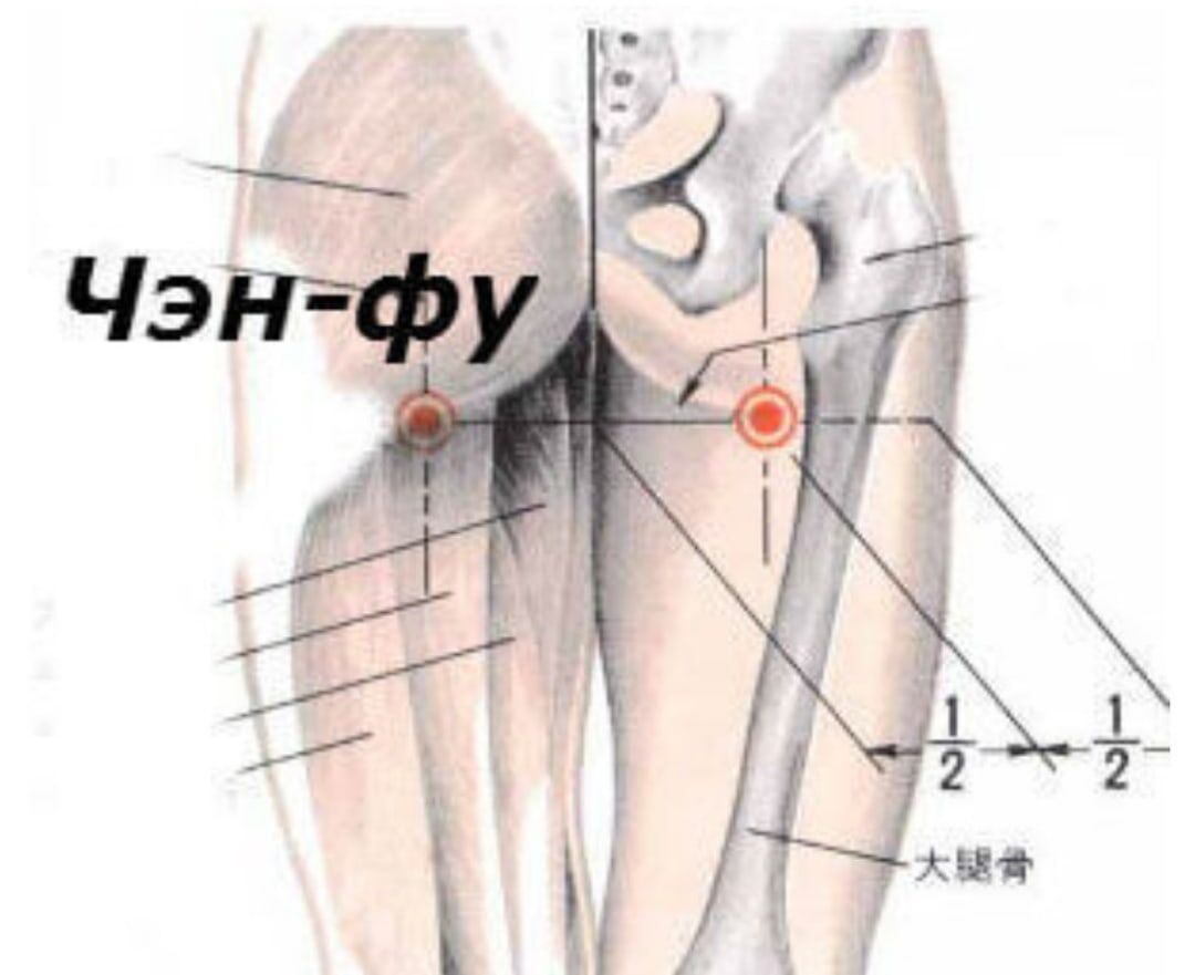 фото из открытого доступа