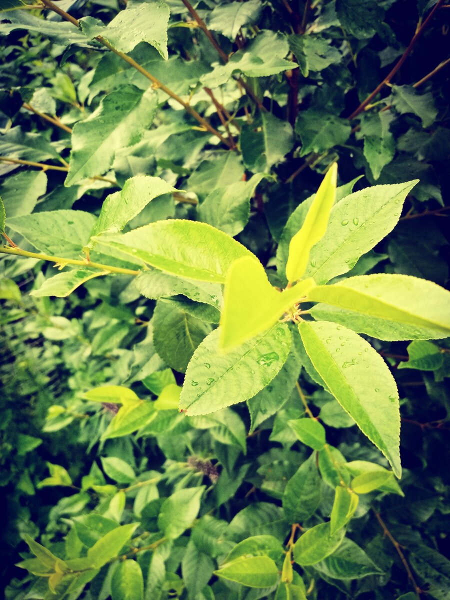 Прекрасная природа 