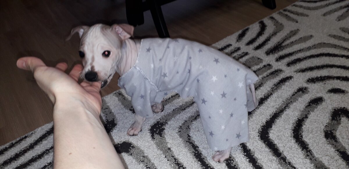 Самодельная пижамка.