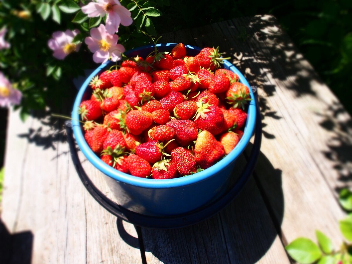 Урожай 2020 года