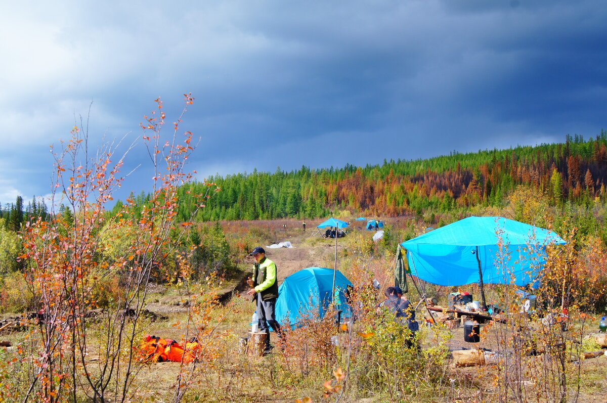 Так выглядят табора