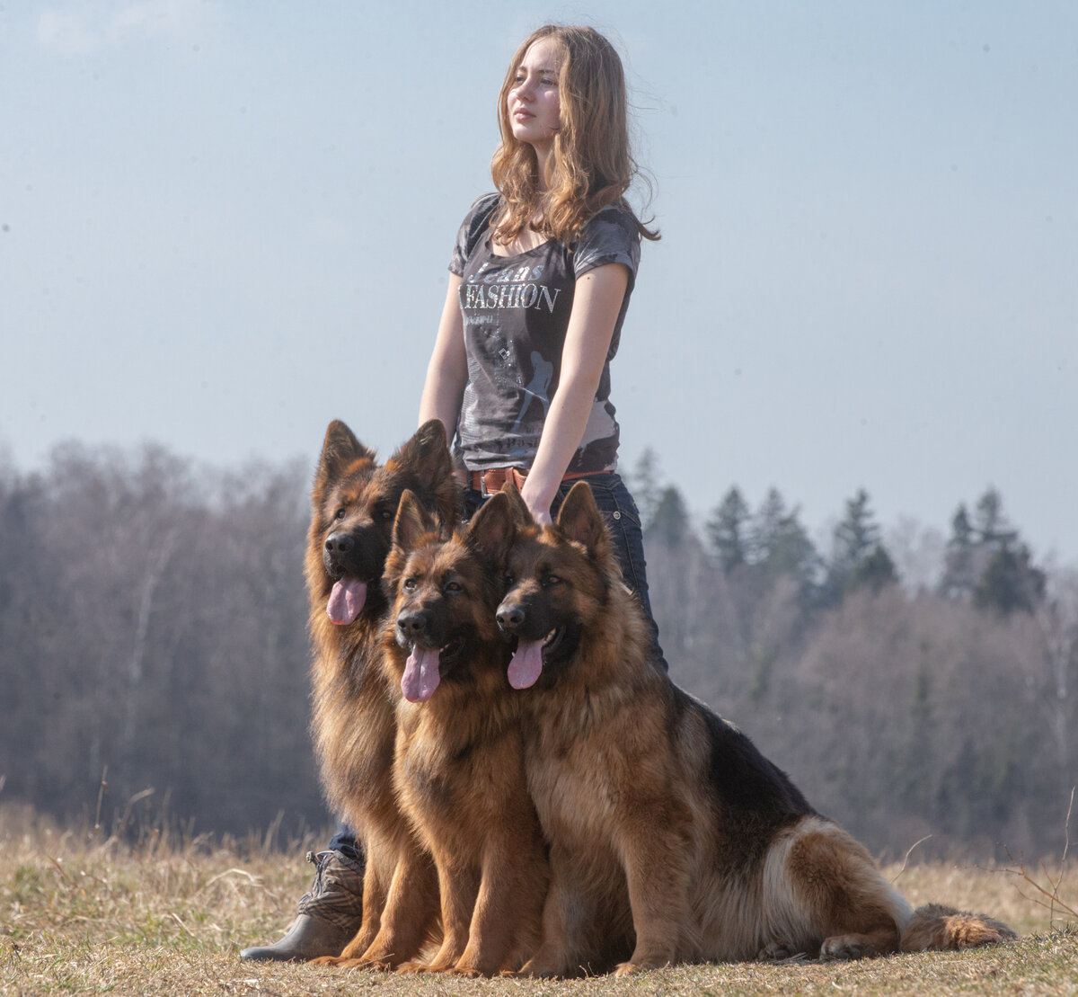 Фото любезно предоставлено питомником Alex Hoff