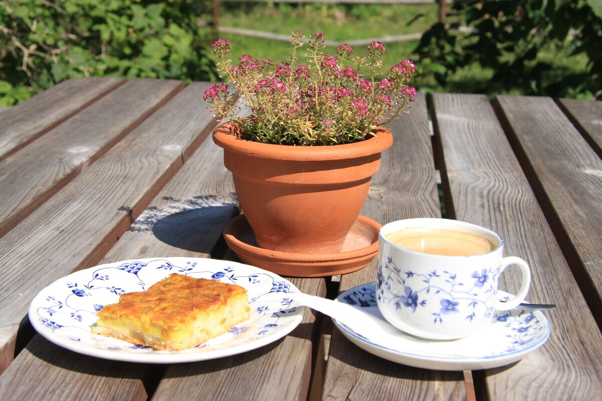 Утренний кафе / из личного архива