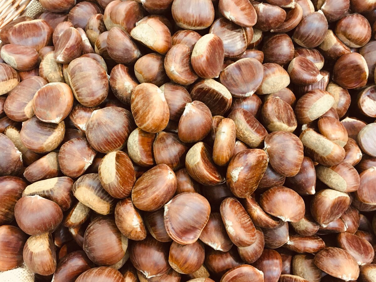 Фото: Piano Piano (в Италии у многих дома есть специальная сковорода для каштанов, но приготовить их можно и без неё, просто в духовке)