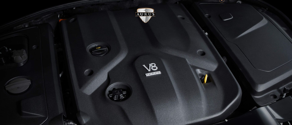 Крутящий момент 880 Нм позволяет этой махине разгоняться до 100 км/ч менее, чем за 5 секунд!