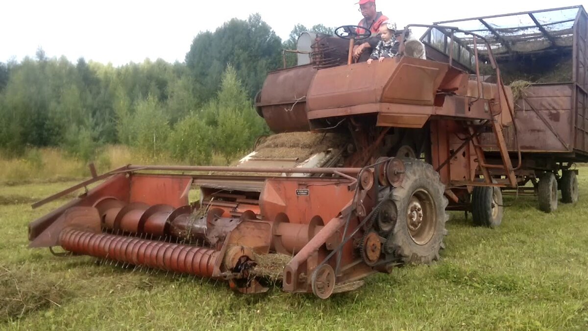 Фото из Яндекс Картинок