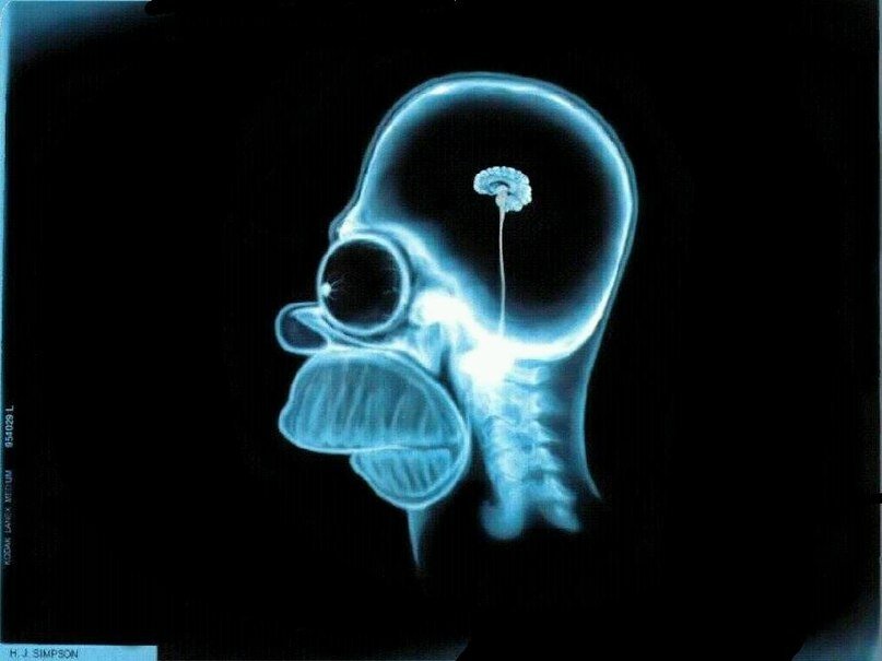 Фото: сайт Fox TV