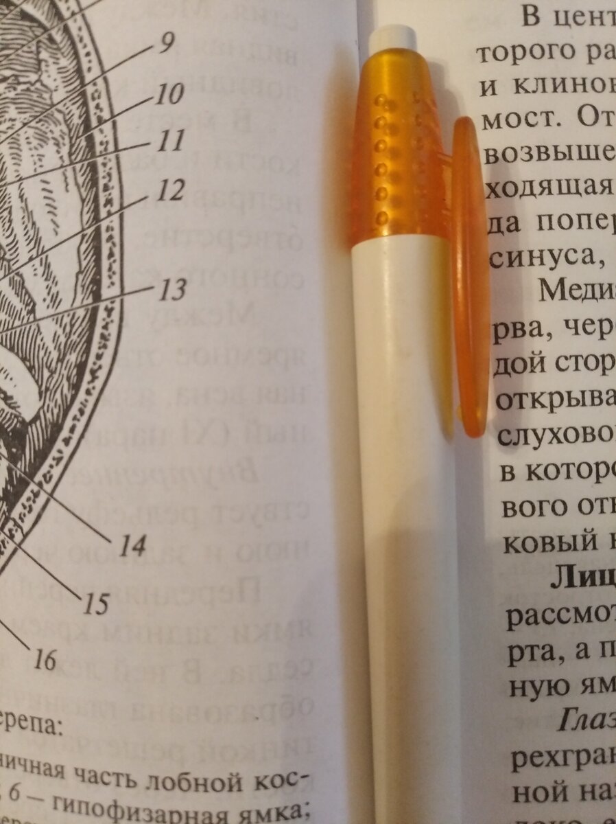 Редактировать галереюНужная канцелярия на 1 курсе в 1 семестре.Доброе утро милые дамы и джентльмены.Что купила сколько потратила и пригодилось ли?Я учусь на платном,так что на канцелярию посчитала нужным не особо тратится,а сохранить деньги на другие более важные траты.Если поступили на врача набор будет другим.Не все что вы увидите я покупала,кое что осталось у меня с учебных времён до Меда.Например точилка для карандашей,линейка,цветные карандаши были куплены довольно давно.А пенал достался по наследству от двоюродной сестры.Помимо канцелярии вам нужно будет купить ещё халат и шапочку Медицинскую.Оставьте в бюджете на это денежку.Редактировать галереюМного ручек чтобы писать много конспектов.Редактировать галереюКарандашей не меньше.Тоже нужны.Рисовать схемы,таблицы и диаграммы.И также простыми карандашами я выделяю темы или что то важное.Ручек сразу купила много т.к пишем много.У меня даже пальцы начали болеть с непривычки.На работе нет писанины.А что такое учебные будни я уже и забыла.Карандашей на порядок меньше но нужны так же часто.Когда то я рисовала и остался набор карандашей вот его и взяла.Редактировать галереюЦветные карандашики.Не покупала, остатки от когда то бывшего набора.Цветные тоже нужны.Особенно на микробиологии.Которой у нас ещё нет.Возможно куплю набор на 6 карандашей,но когда эти закончатся.Возьму самые дешёвый набор.Загружается...