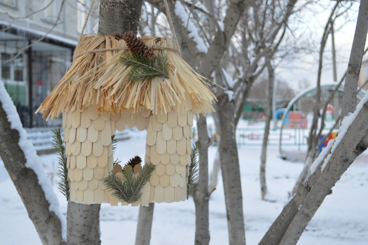 Фото птичья столовая в детском саду