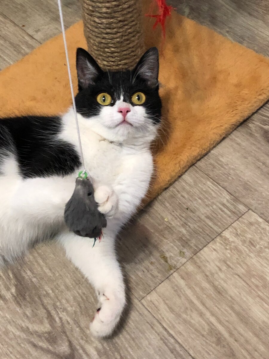 Личный архив