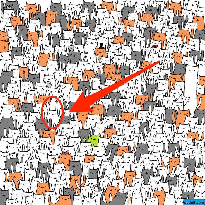 Источник: insider.com