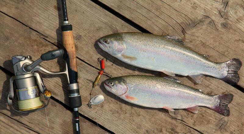 Блесна "Вертлявая" - форум "А.Р.К."