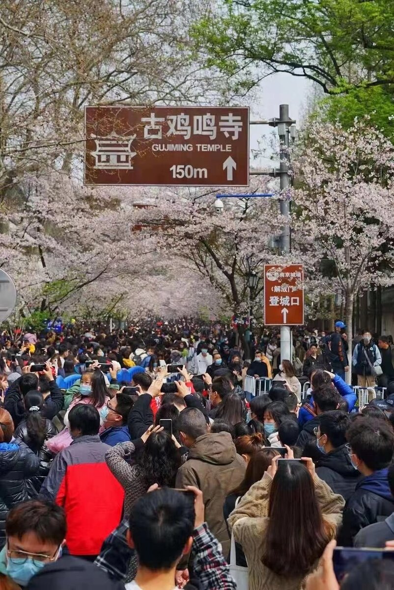 Подписывайтесь на канал, чтобы не пропустить новые статьи про Китай 