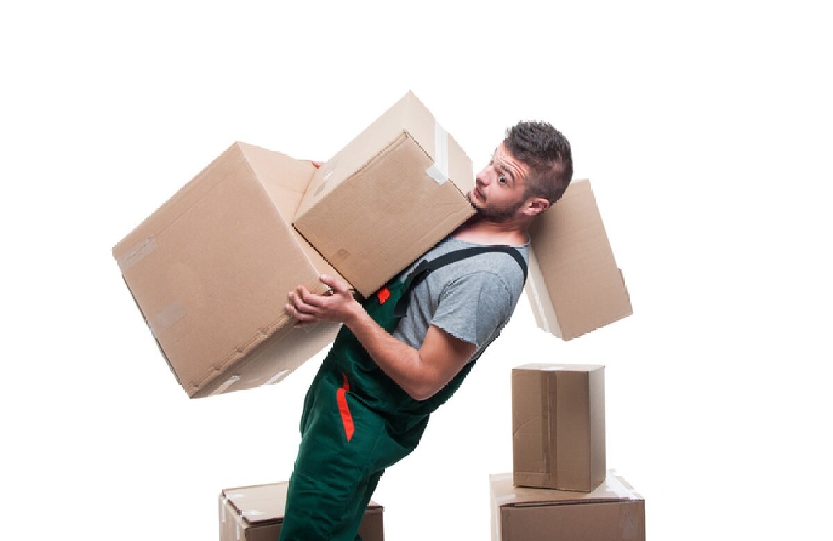 Источник фото: https://clck.ru/VtxqB