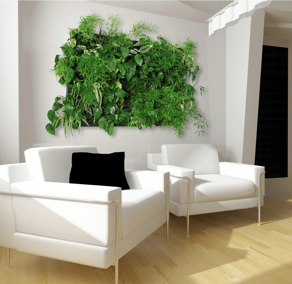 Фото: из открытых Интернет-источников