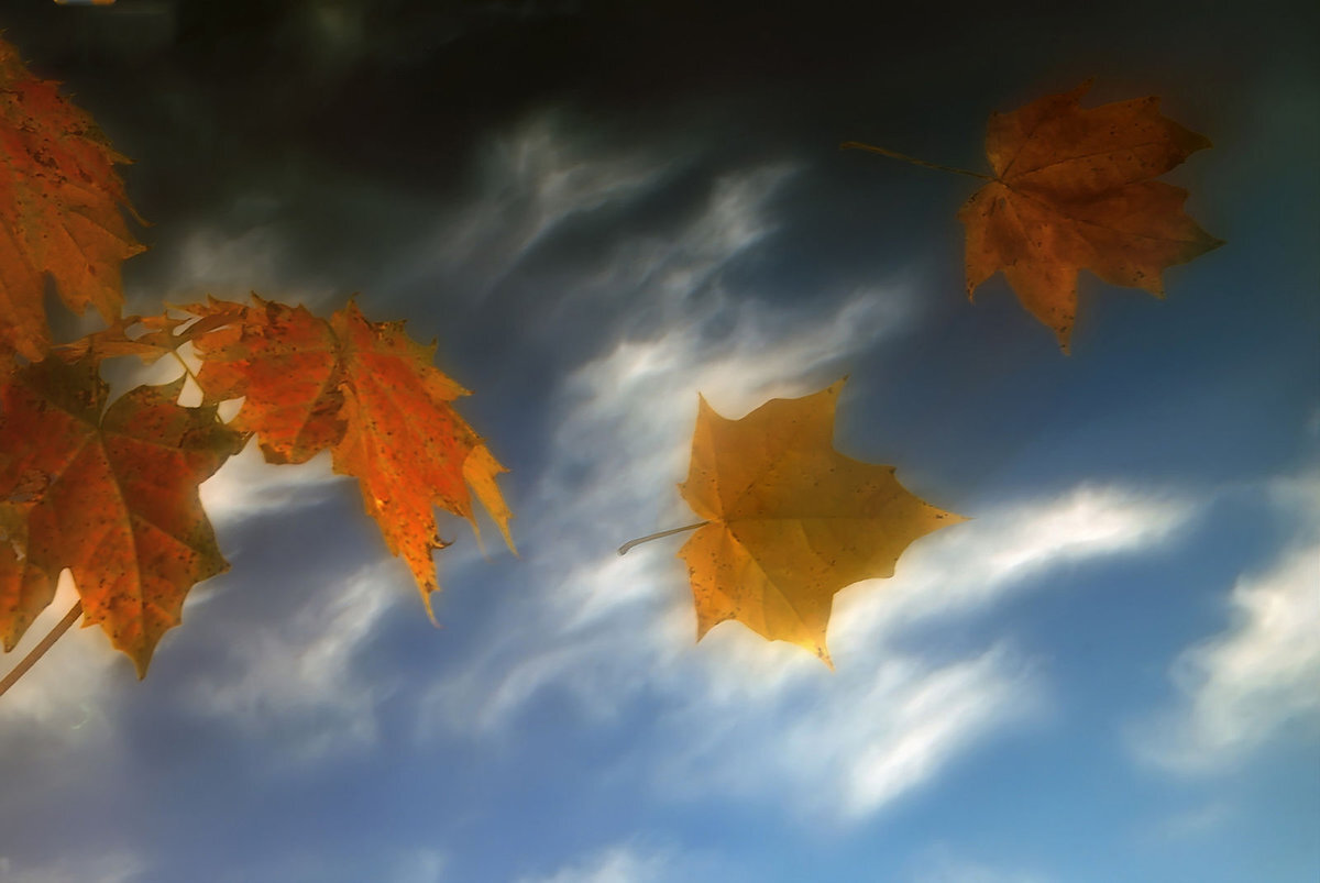 Прошлое улетает